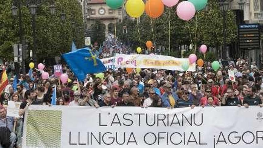 Manifestación en defensa de la cooficialidad.