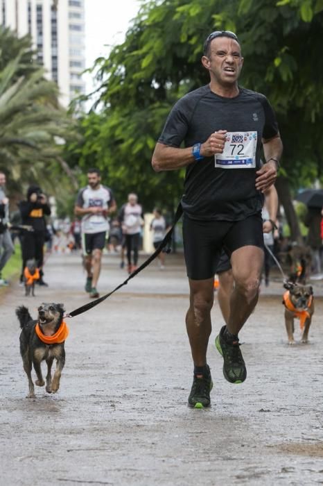 PRIMERA CARRERA SOLIDARIA PERRO-AMO