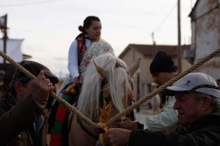 Carrera de Gallos en Fresno de la Ribera