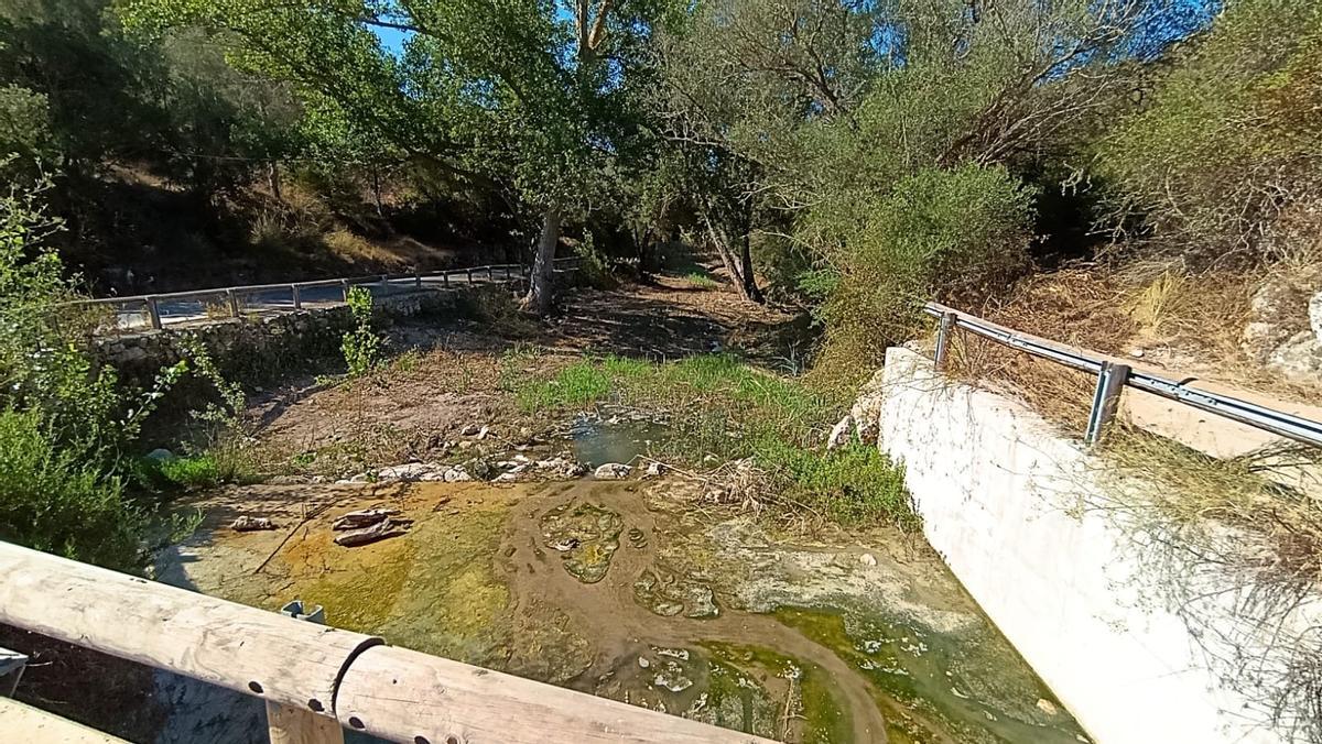 Limpieza en el torrent de ses Planes, en Sant Llorenç.