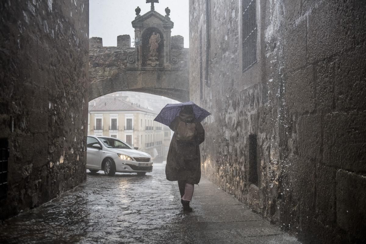 Fotogalería | Así afecta el temporal de lluvia y viento en Cáceres