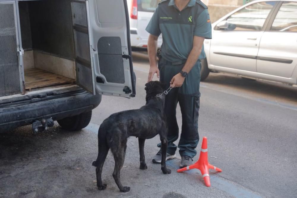 Gran operación contra el narcotráfico en Palma