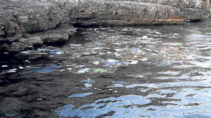 Plásticos recogidos en las limpiezas del litoral.