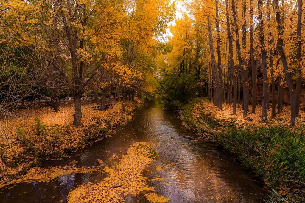 El meandro del río Guadalaviar en otoño ofrece una estampa brutalmente colorida