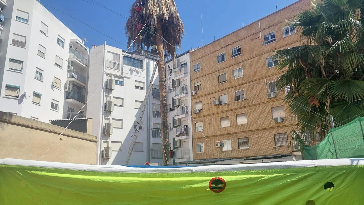 Un momento del rescate del operario que quedó atrapado en la copa de la palmera