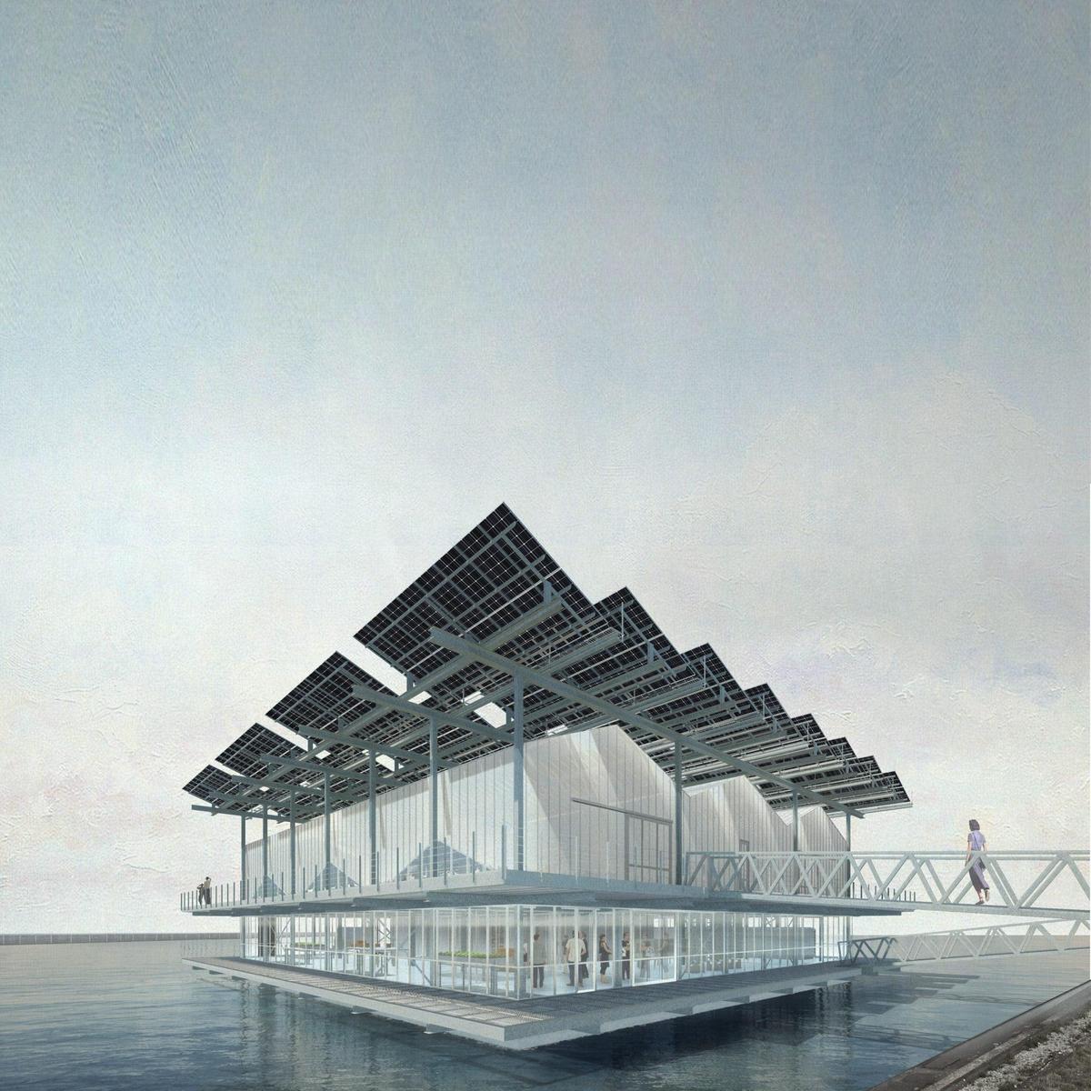 Gallinero flotante, Rotterdam