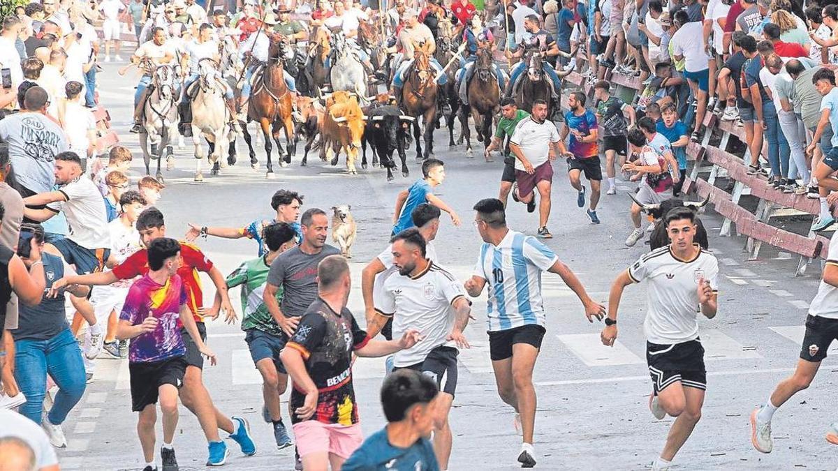 Un momento de la carrera durante el cuarto encierro de las Fiestas de Moratalla.