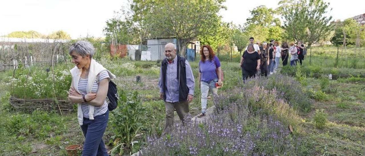 Dia a dia a l’hort de l’associació Milfulles, ubicat darrere la Coma Cros, a Salt. 1 Perspectiva general de l’entrada a l’hort, amb marcada presència de plantes aromàtiques i medicinals, tot i que també hi ha hortalisses i arbres fruiters des d’una vessant totalment ecològica. F  | ANIOL RESCLOSA