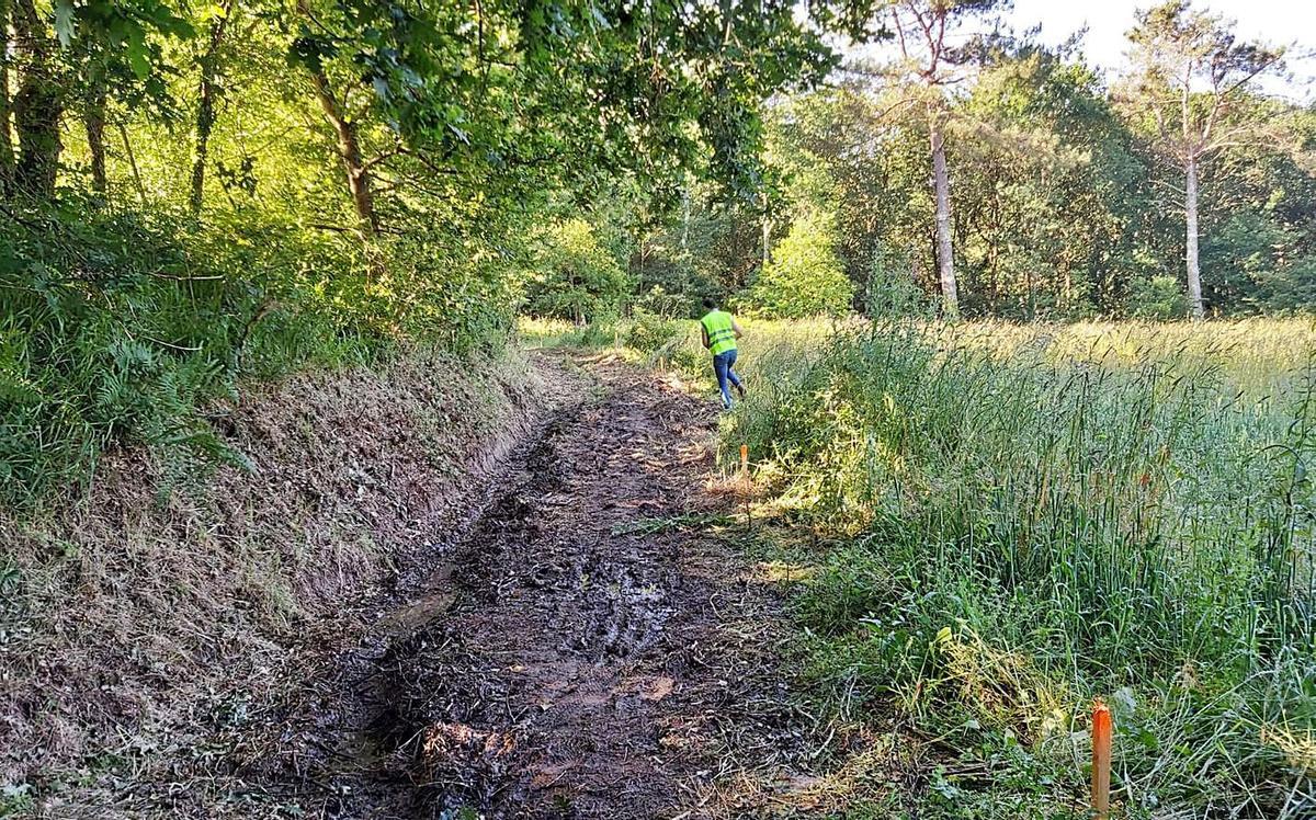 Camino de Meixigo a Cambre.   | // LA OPINIÓN