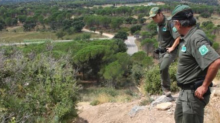 El passat estiu ja es van identificar diversos camins utilitzats de manera il·legal.