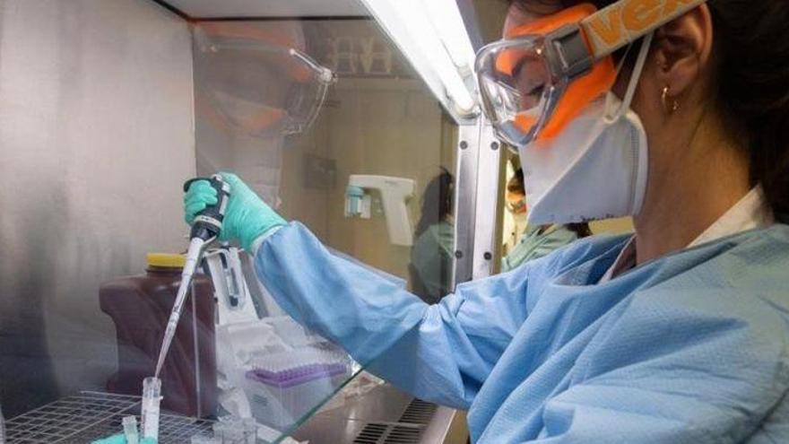 Laboratori on fan proves de coronavirus