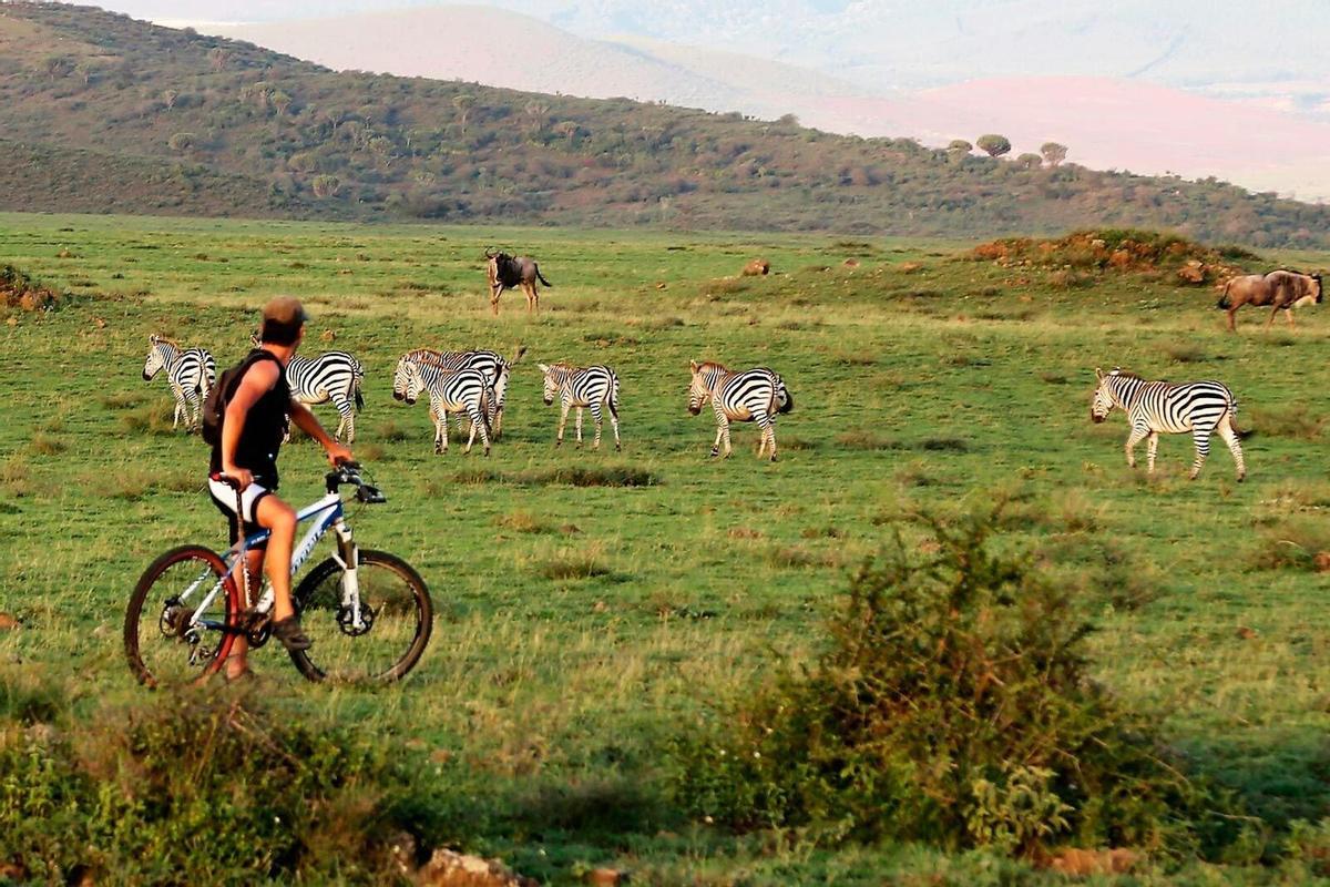 Bicleta en el ngorongoro
