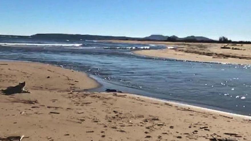 L&#039;actual desembocadura del riu Fluvià, a Sant Pere Pescador.