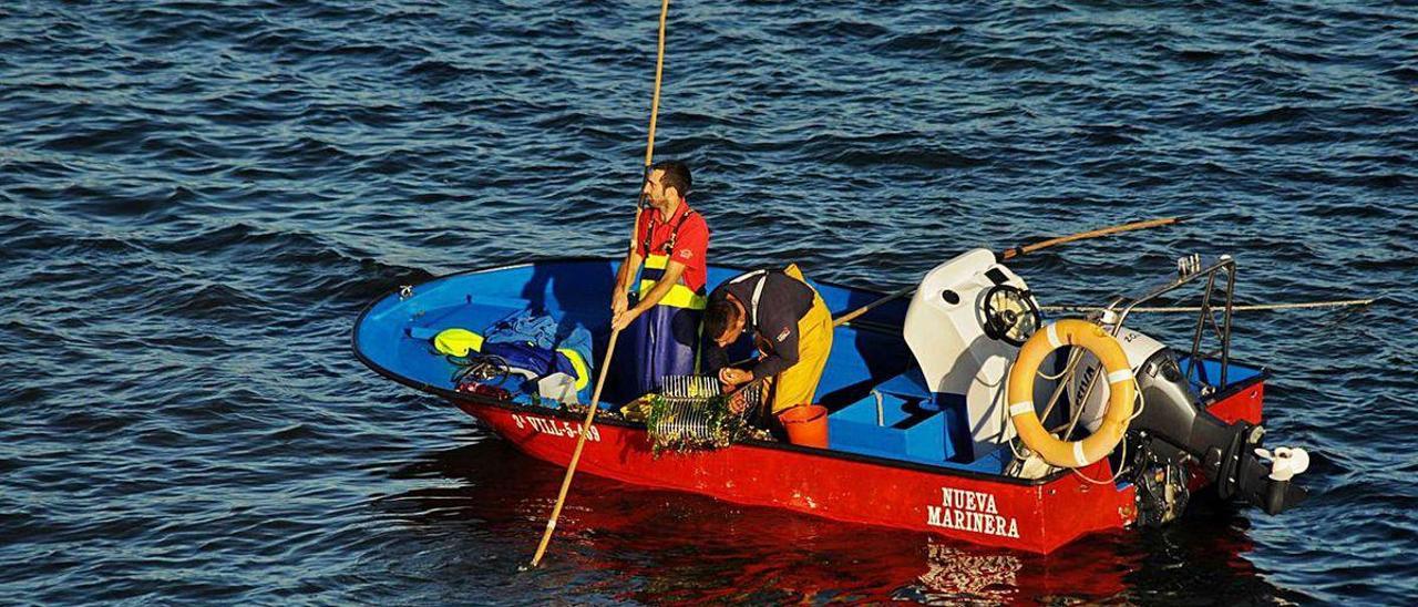 La campaña de libres marisqueo comenzará el próximo 19 de octubre.