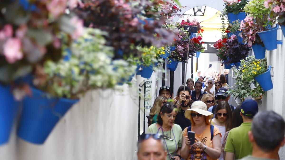 Visitantes, en la calleja de las Flores de la Judería esta Semana Santa.