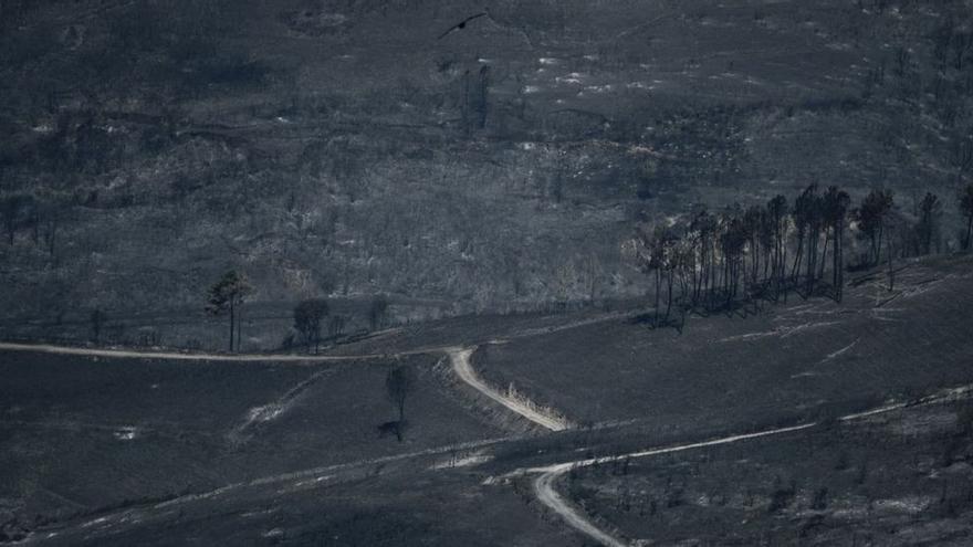 Las causas de fondo de los fuegos actuales que afectan a Galicia