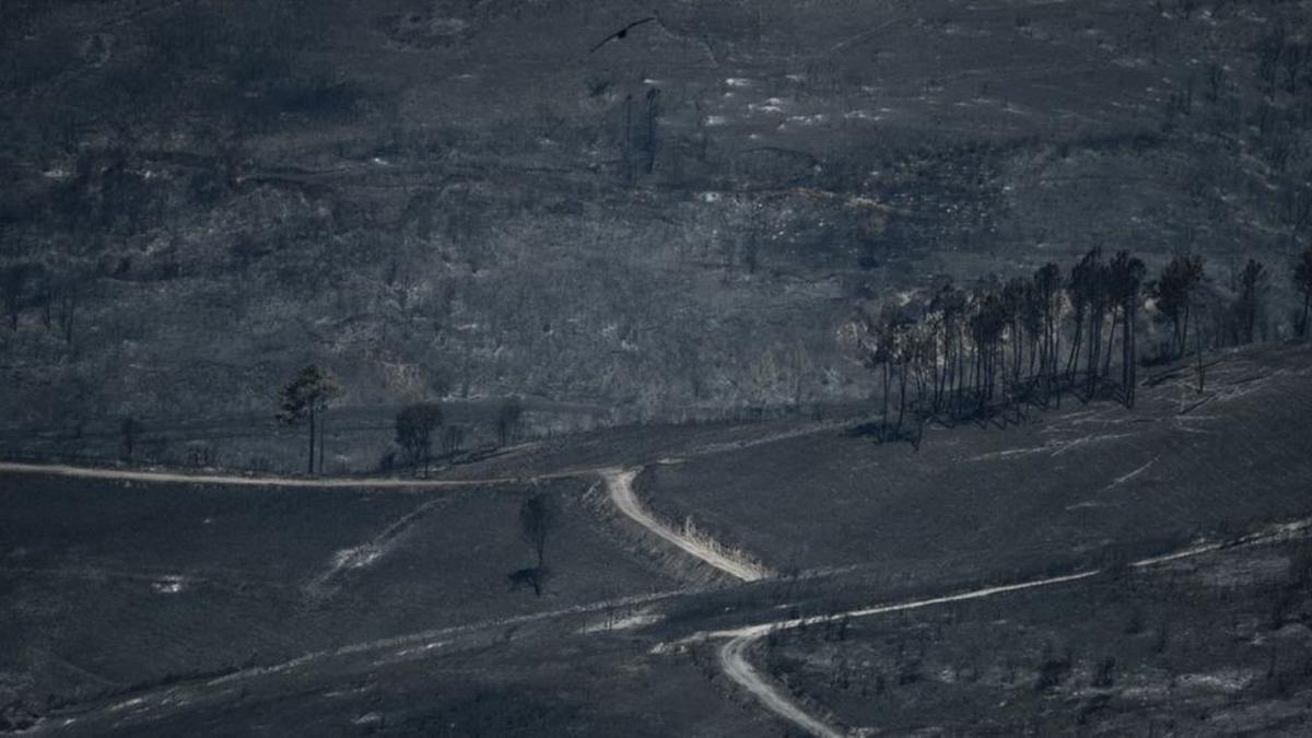 Monte arrasado por el fuego en O Barco de Valdeorras (Ourense). / BRAIS LORENZO