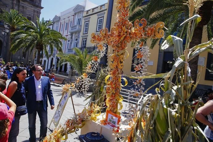 Cruces de Mayo en Las Palmas de Gran Canaria