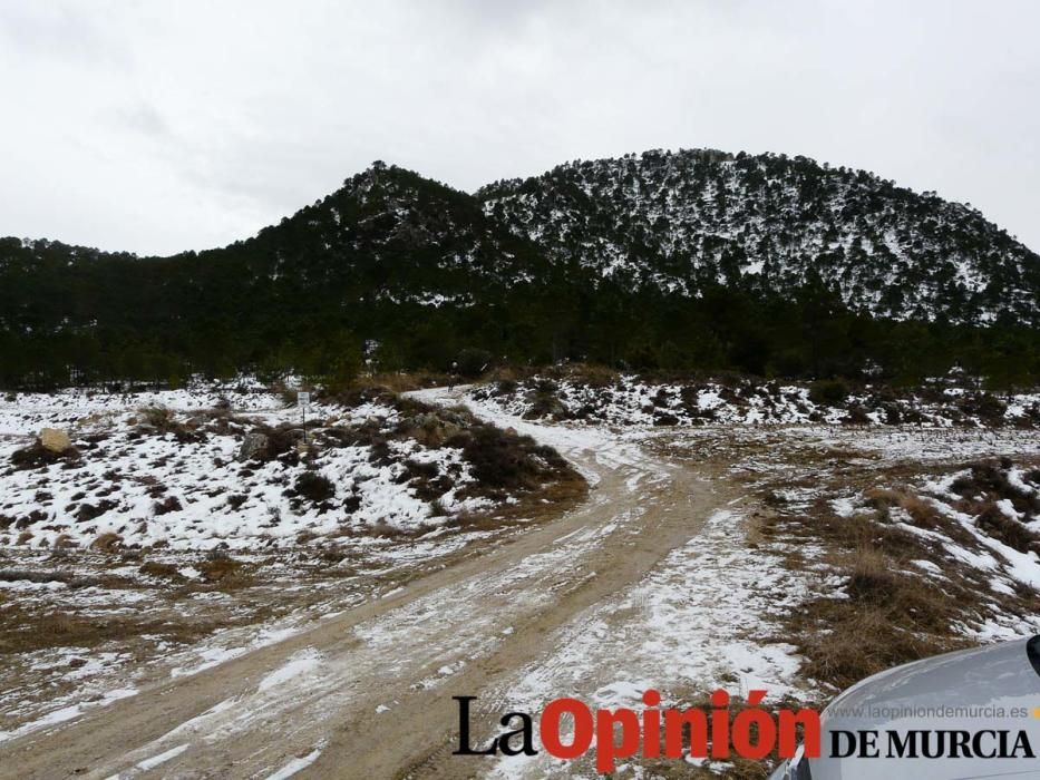 El Buitre, carrera por montaña en Moratalla