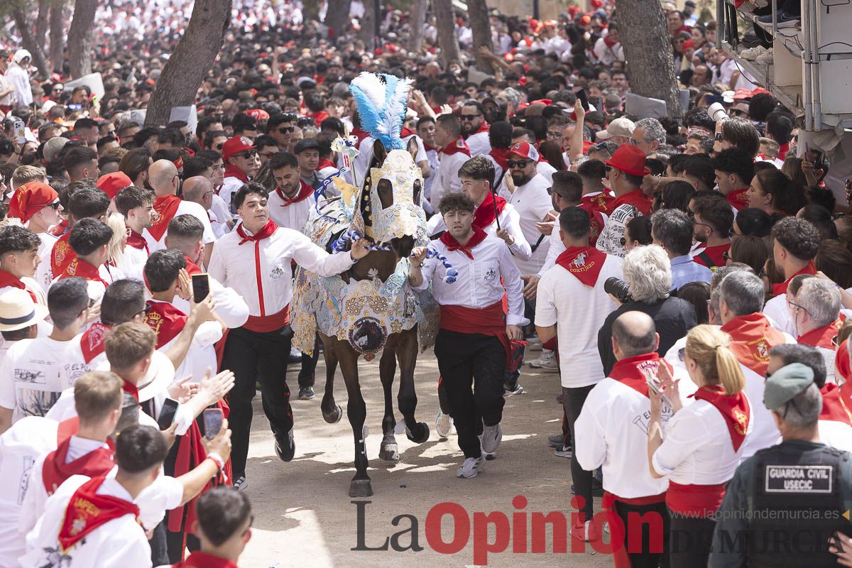 Así se ha vivido la carrera de Los Caballos del Vino en Caravaca