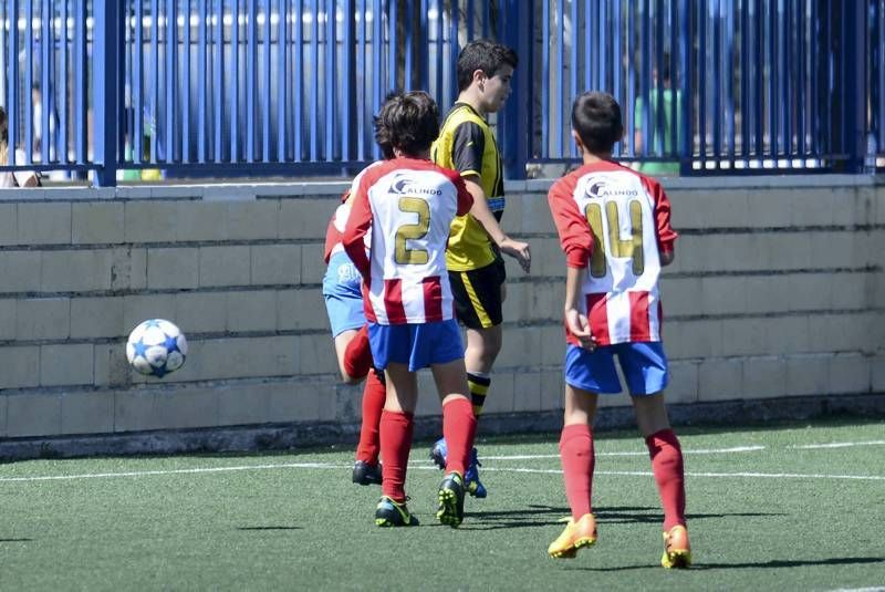 FÚTBOL: Tauste A - Teruel A (Alevín)