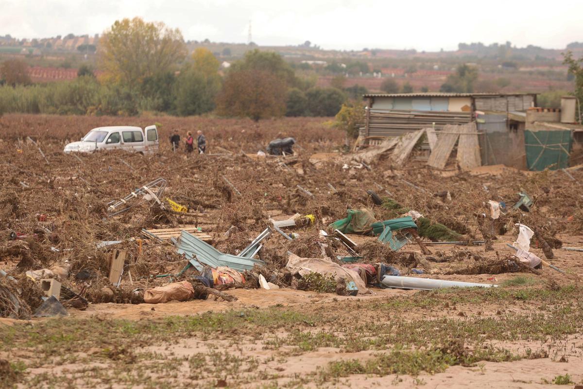 Campos destrozados en Utiel.