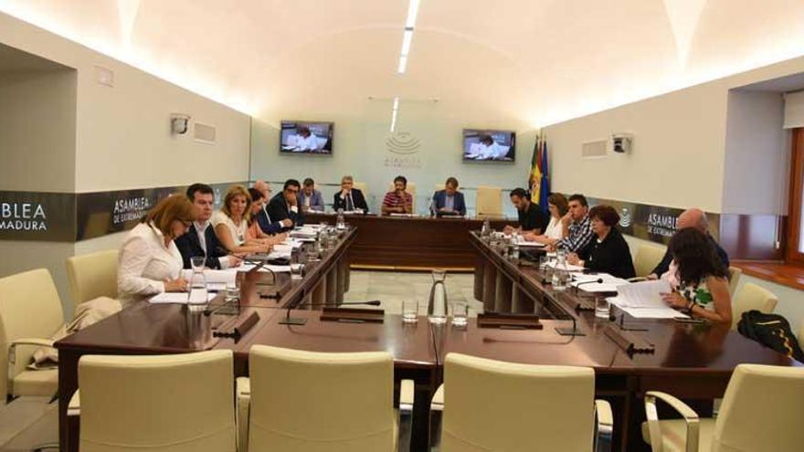 La comisión sobre el fuego de Gata termina con cien conclusiones de los grupos parlamentario