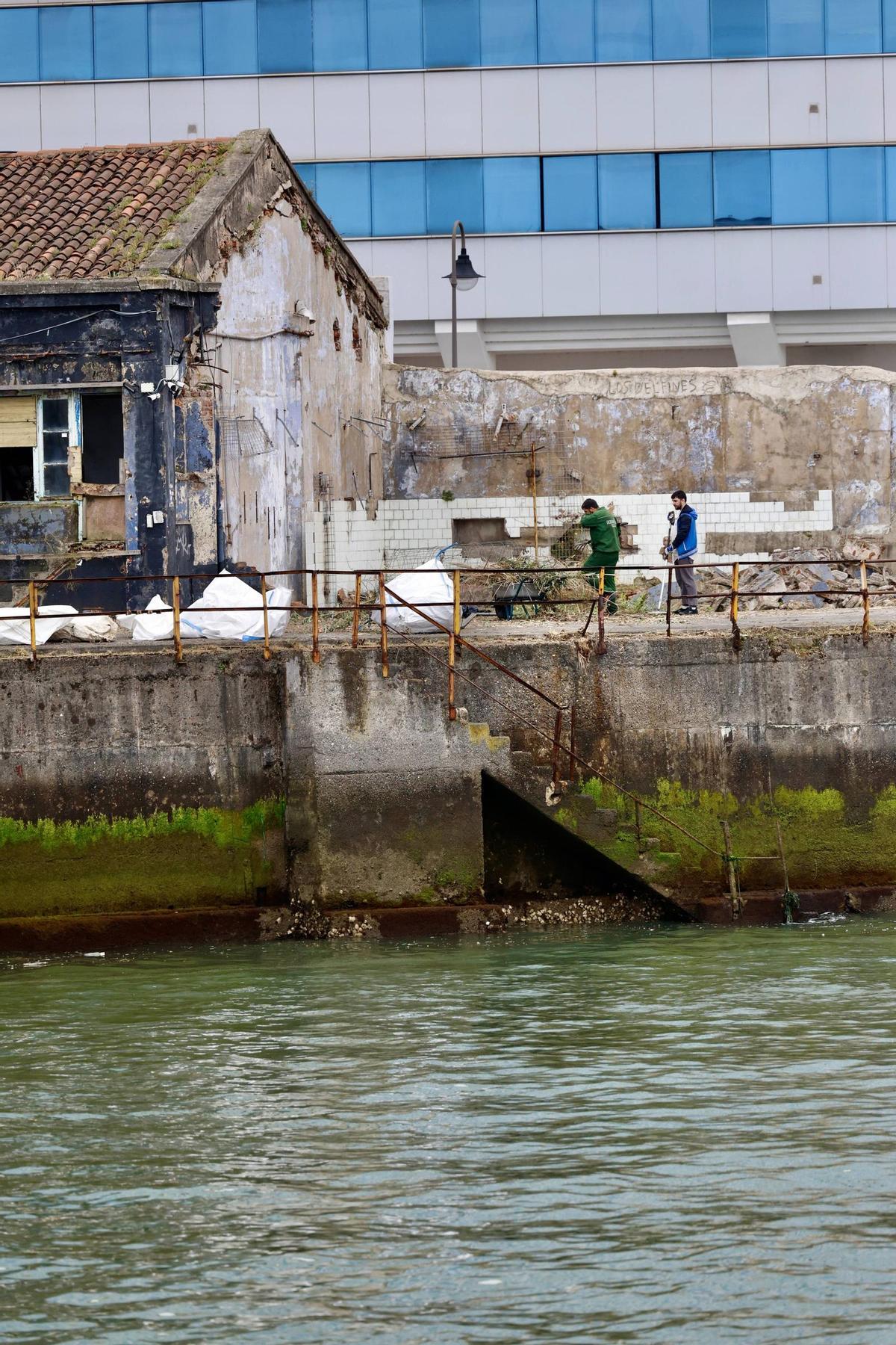 Pymar arranca los trabajos de limpieza en sus terrenos de Naval Gijón (en imágenes)