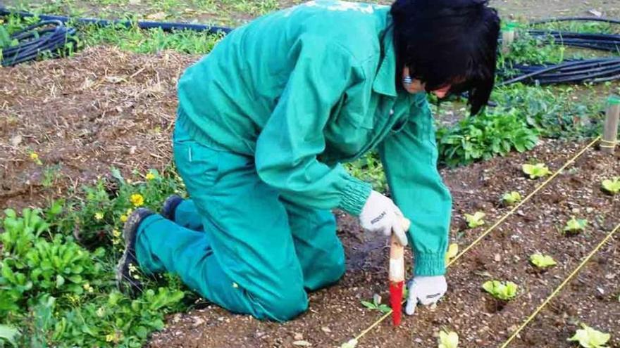 Premio Núñez de Prado a un trabajo sobre cambio climático