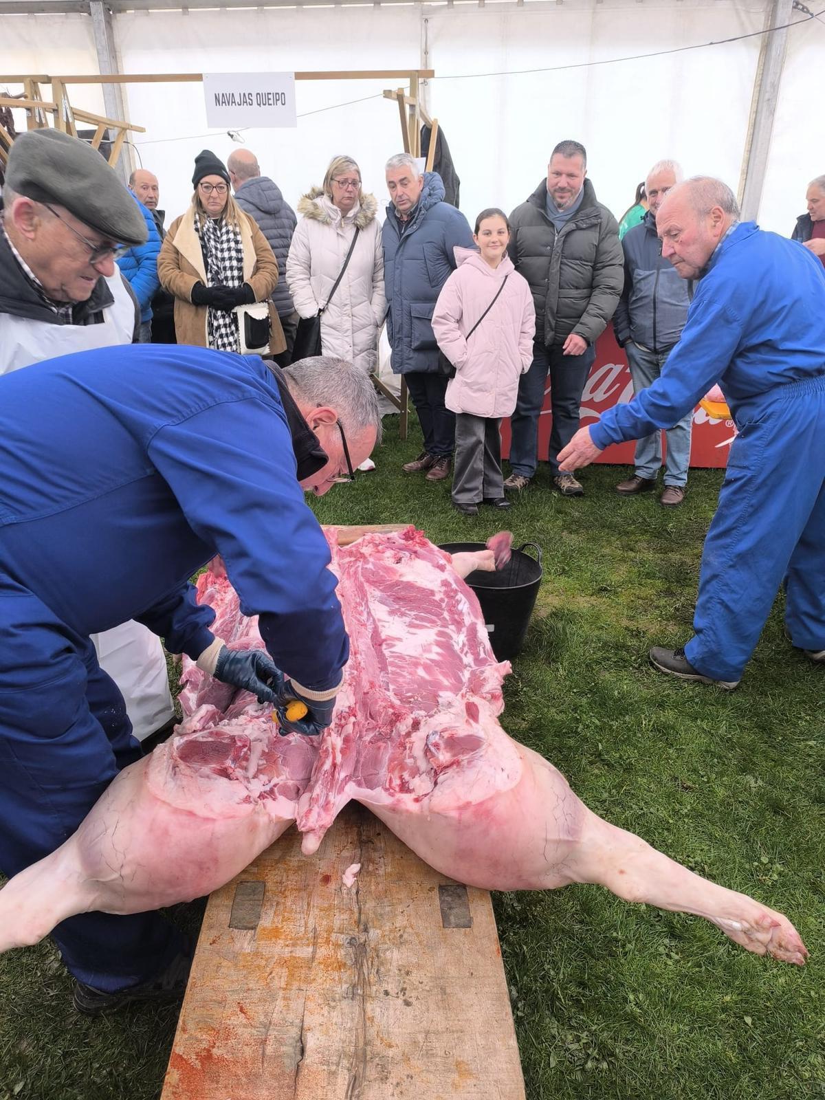 649585658_1226440829642322_612950769356296777_n