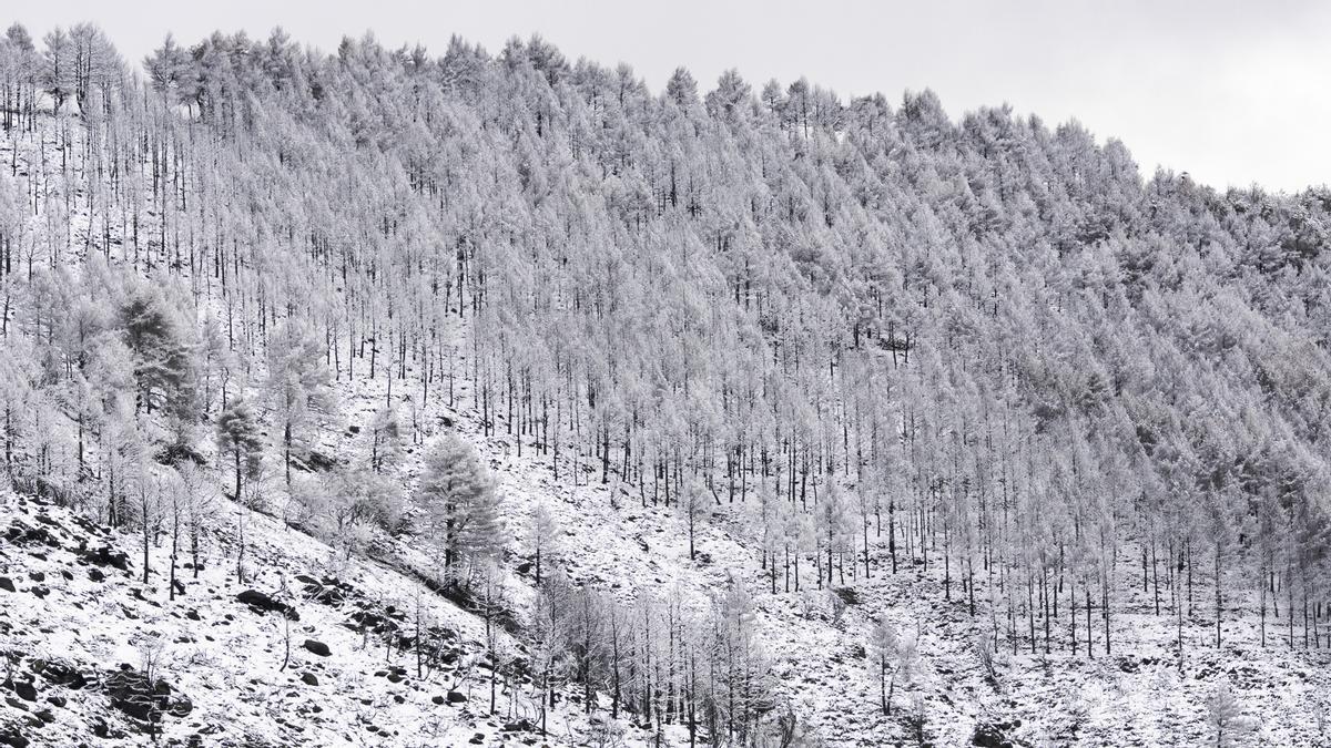 Fotogalería | La nieve cubre el norte de Extremadura