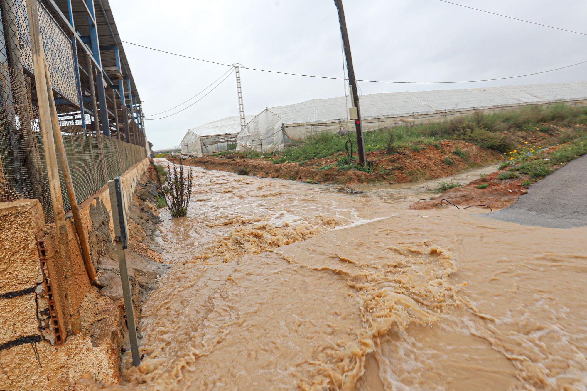 Pilar de la Horadada reclama a la CHS atajar las inundaciones del Mojón con balsas de laminación en la cabecera de las ramblas