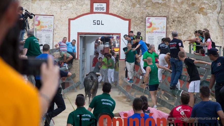 Quinto encierro en Calasparra