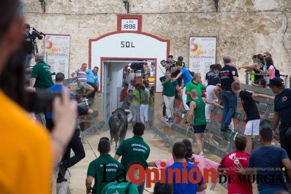 Quinto encierro en Calasparra