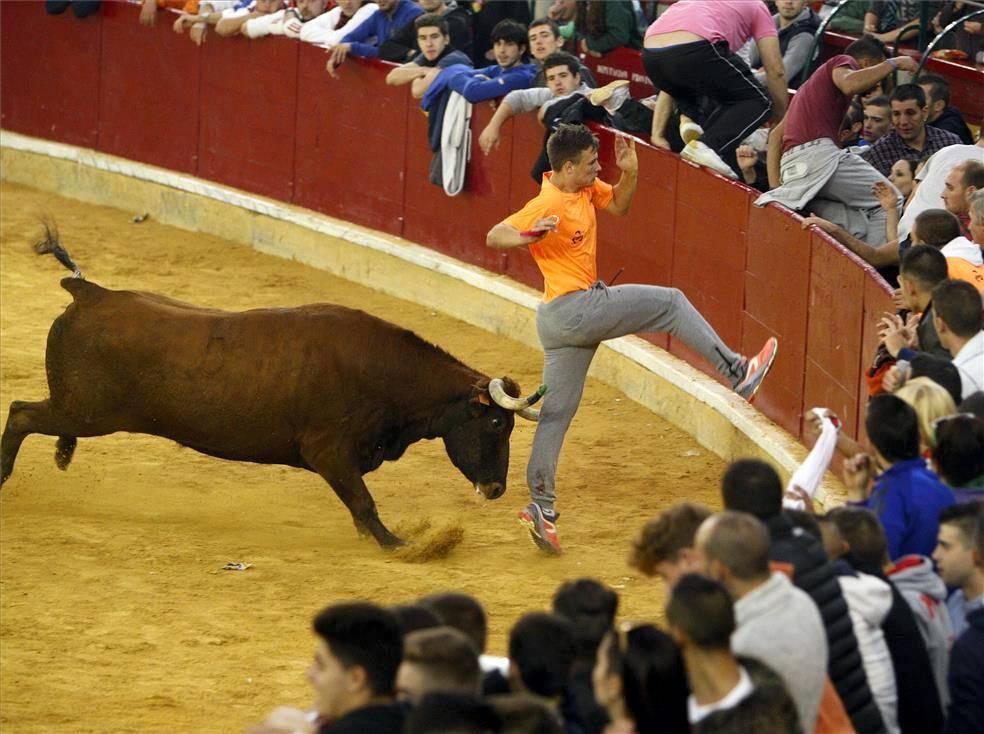 Mejores momentos de las Vaquillas