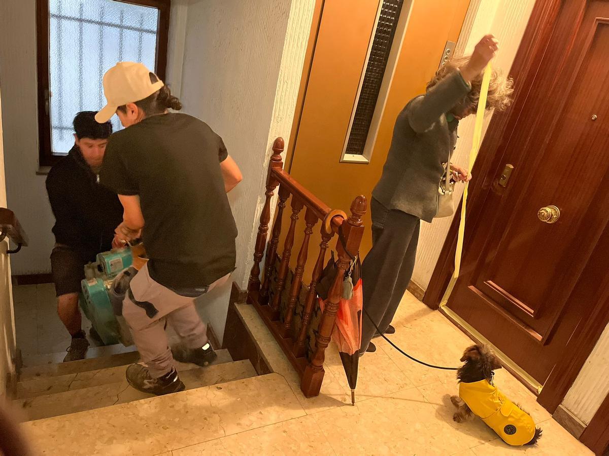 Trabajadores subiendo materiales para la obra.