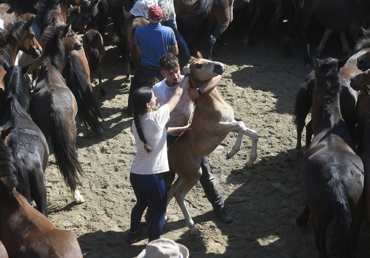 2ª Curro da Rapa das Bestas de Sabucedo, A Estrada.