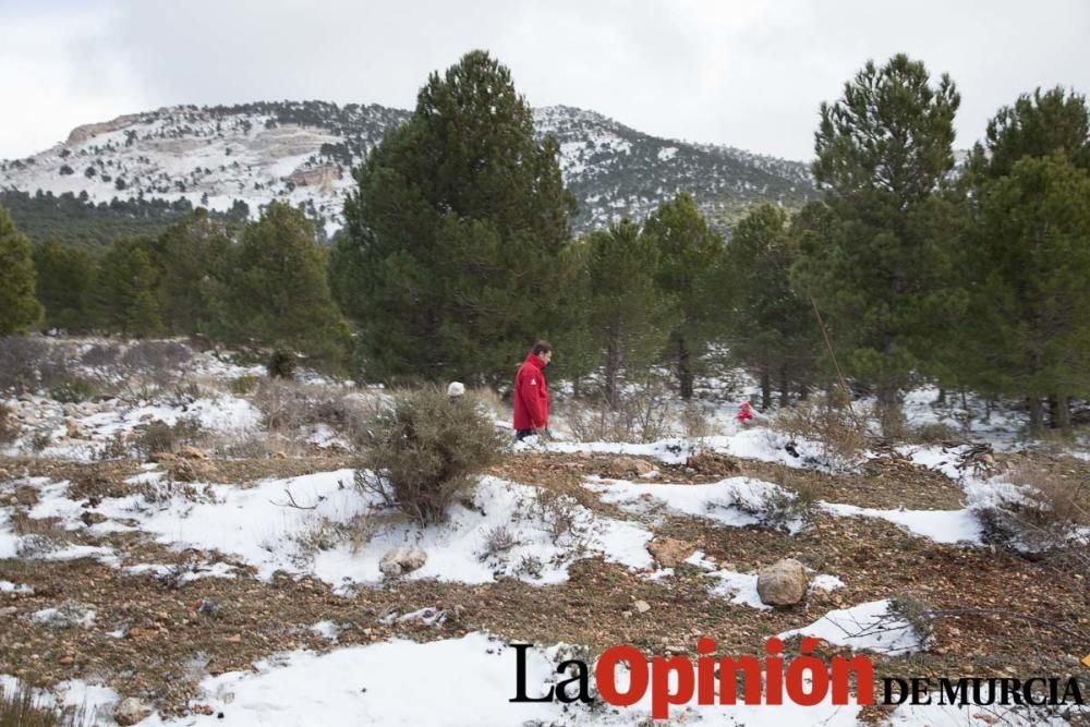 Nieve en el Noroeste