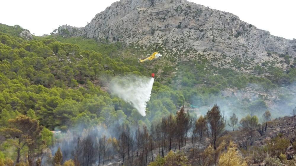 Feuerwehr bekämpft Waldbrand in Sant Elm