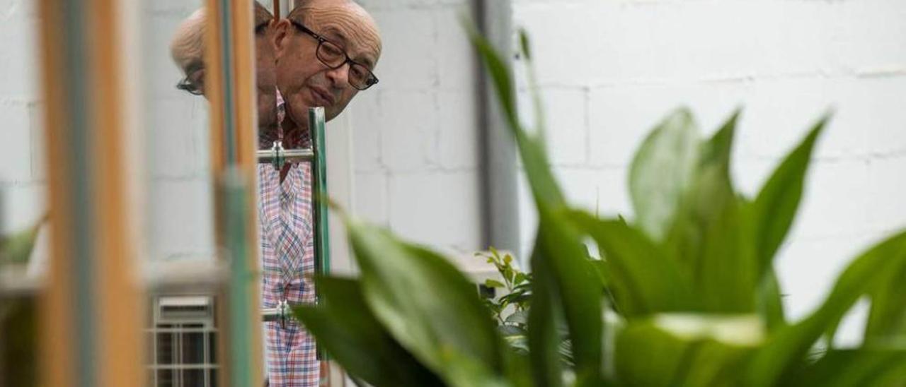 Natalio Vázquez, asomado a una ventana de su casa.