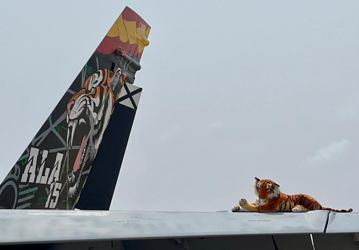 Un tigre de peluche junto a la cola de un F 18 del Ala 15, de la que es mascota.
