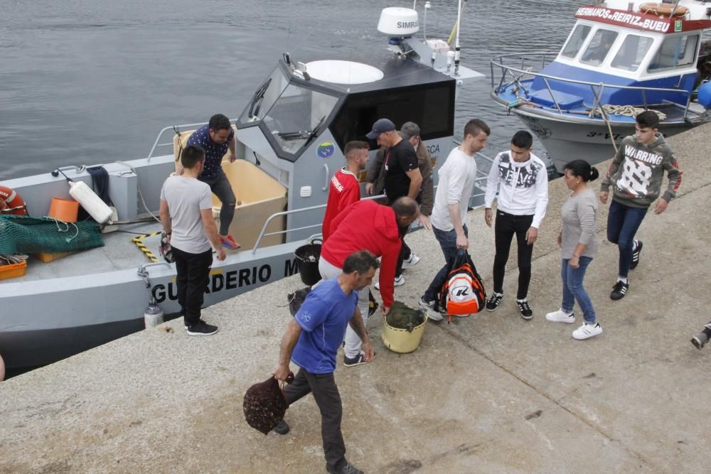 Las primeras descargas de pulpo en el puerto de Bueu // Santos Álvarez