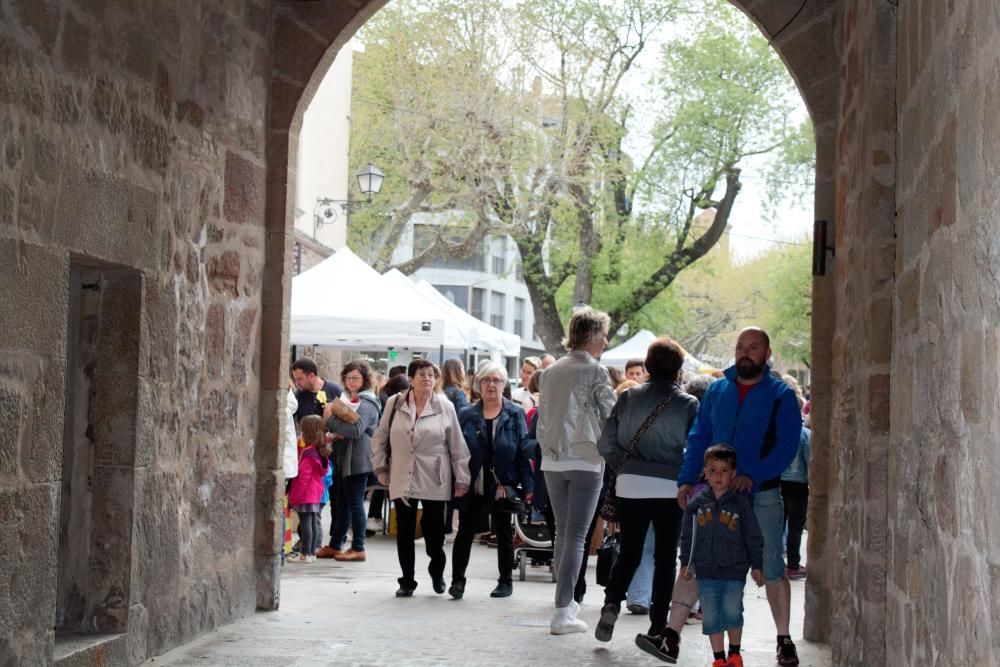 Diada de Sant Jordi a Solsona