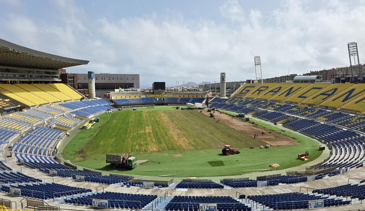 Estado actual del césped del Estadio de Gran Canaria.
