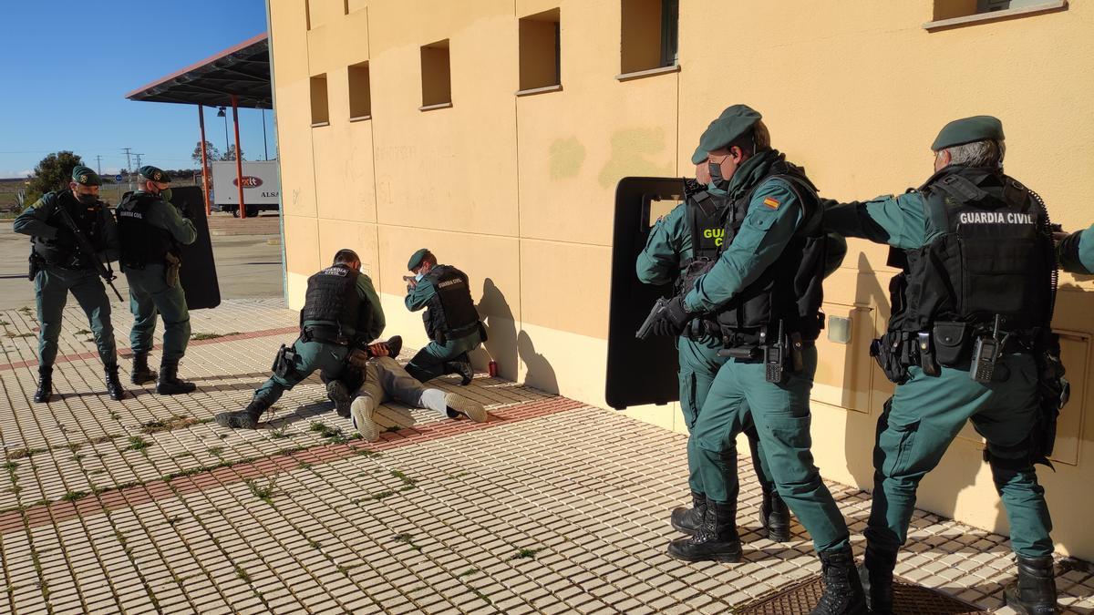 Los guardias civiles neutralizan al terrorista en el simulacro de Villalpando.