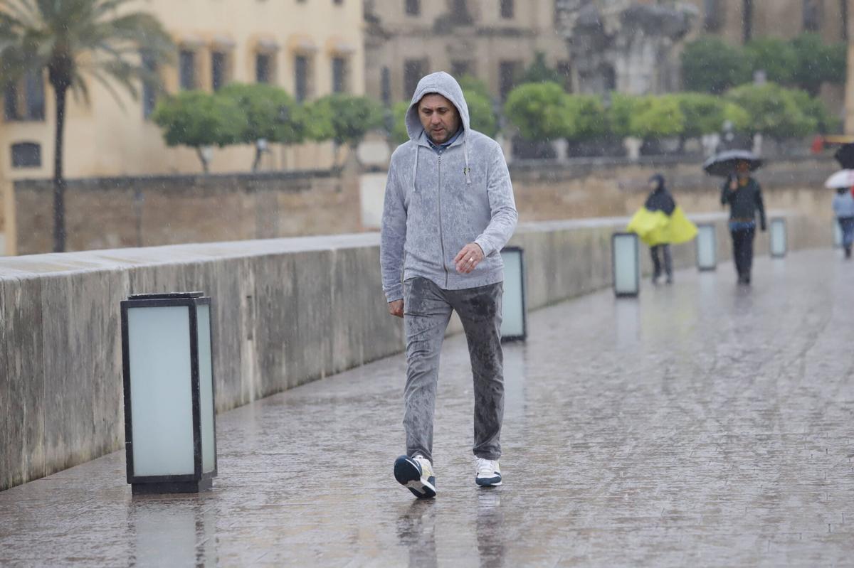 El temporal de lluvia y viento, en imágenes