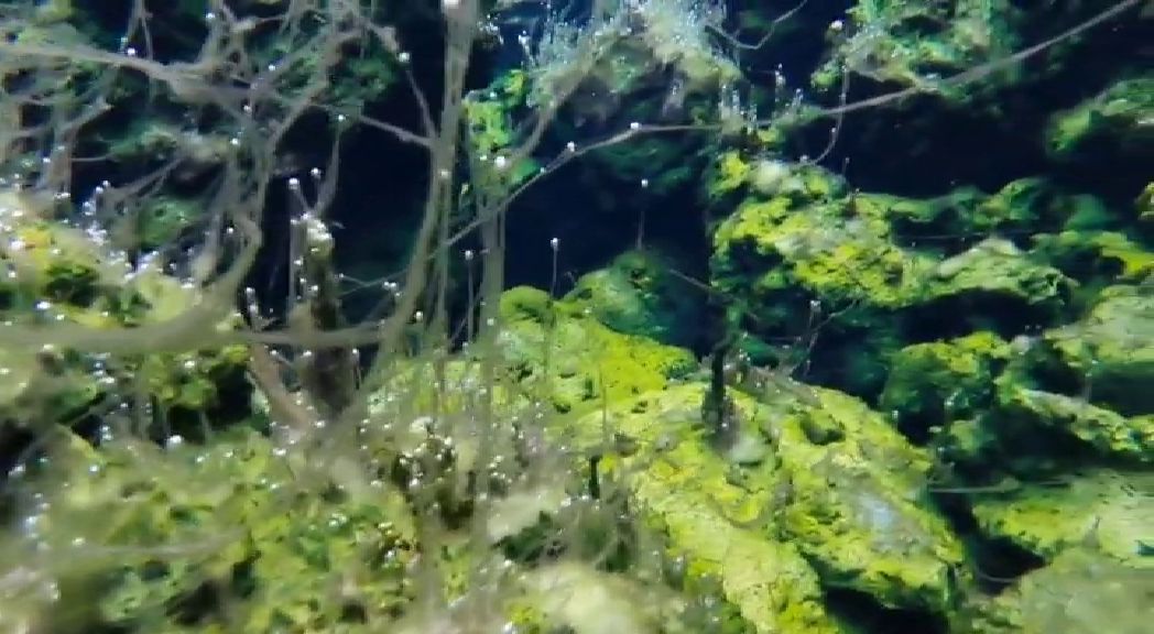 El fondo marino de la fajana tras la erupción del volcán de La Palma