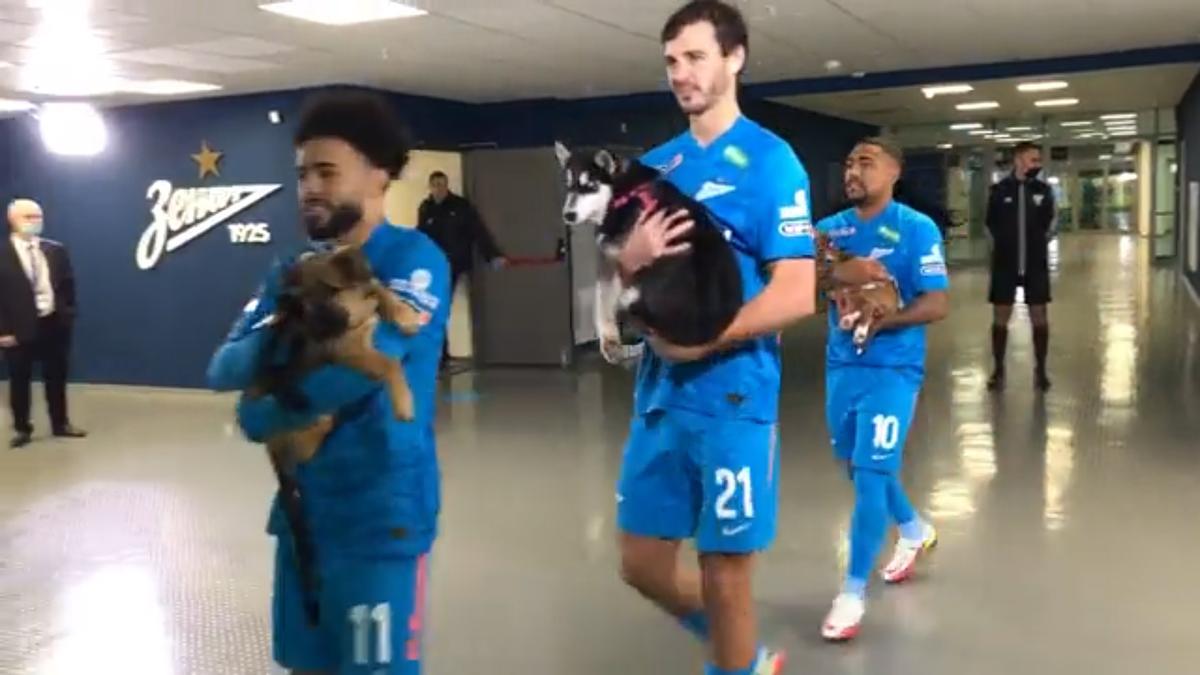 Lo más tierno que verás en un campo de fútbol: Jugadores saltando al terreno de juego...¡con perritos!