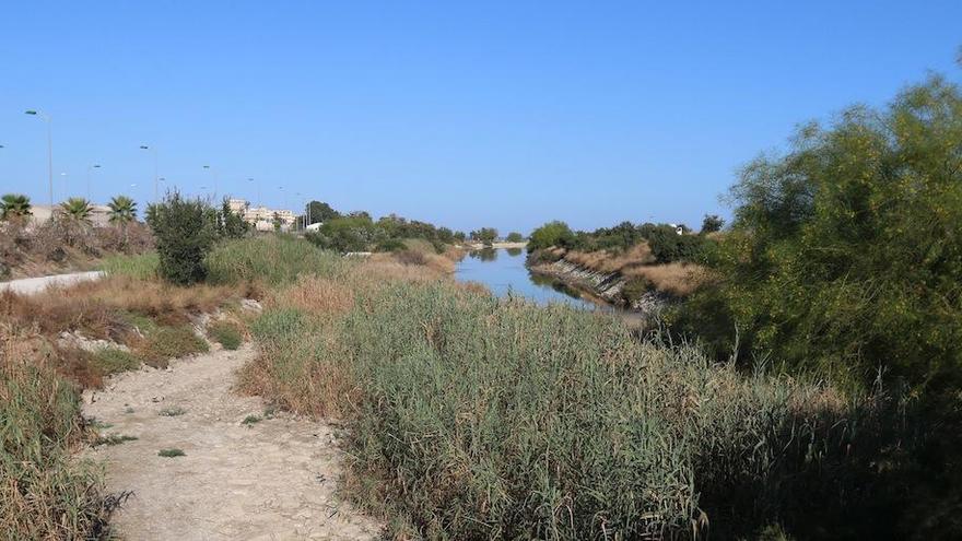 La desembocadura del Guadalhorce, uno de los espacios de la ciudad incluidos en el proyecto municipal del Anillo Verde.