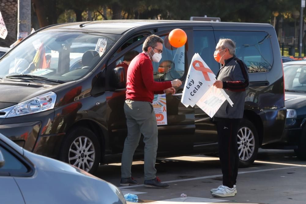 El centro de Murcia vuelve a llenarse de vehículos para protestar contra la Ley Celaá